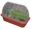 grow-herbs-with-the-healing-garden-windowsill-greenhouse-47.png