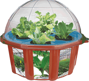 grow-your-own-hydro-dome-kit-37.png