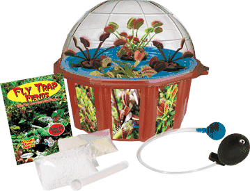 grow-your-own-hydroponic-fly-traps-17.png