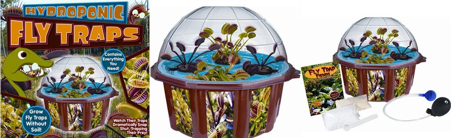 grow-your-own-hydroponic-venus-fly-traps-21.png