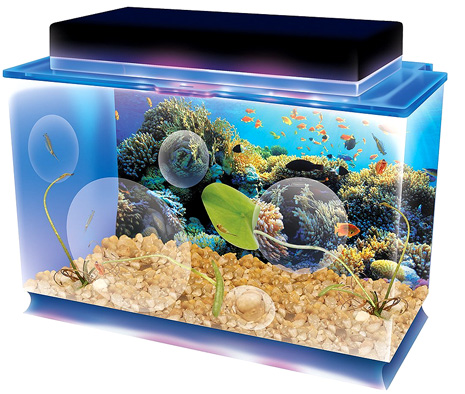 grow-your-own-sea-quarium-deluxe-edition-22.png