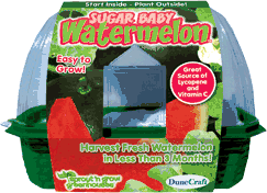 grow-your-own-sugar-baby-watermelon-22.jpg