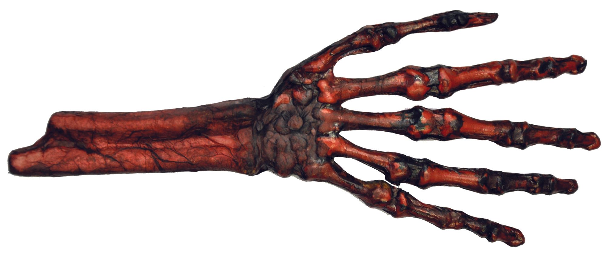 hand-rotted-flesh-and-bone-44.png