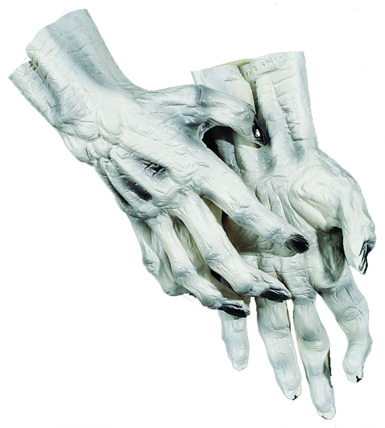 hands-skeleton-white-50.png