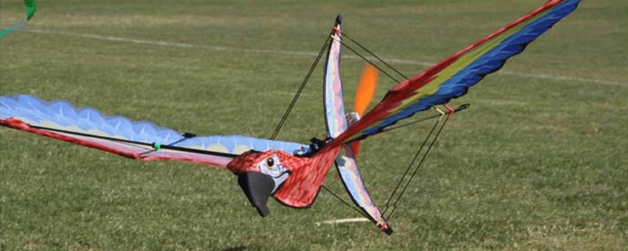 huge-electric-remote-control-rc-kite-flies-500-feet-high-74.png