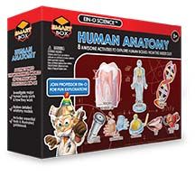 human-anatomy-22.jpg