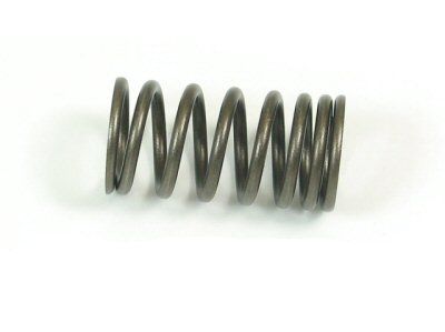 inner-valve-spring-29.png