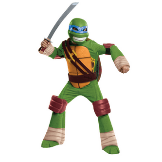 leonardo-animated-classic-4-6-33.png