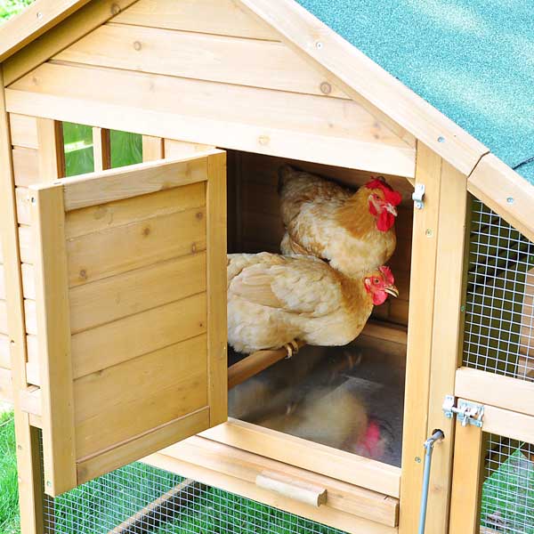 mini-poultry-coop-wooden-chicken-nest-box-run-84.png