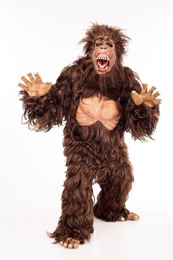 orangutan-men-s-one-size-33.png