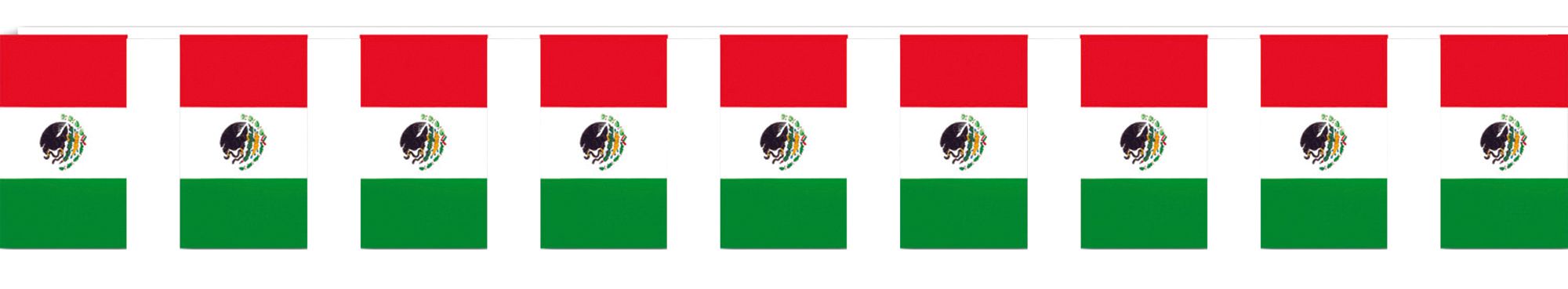 outdoor-mexican-flag-banner-costume-18.png