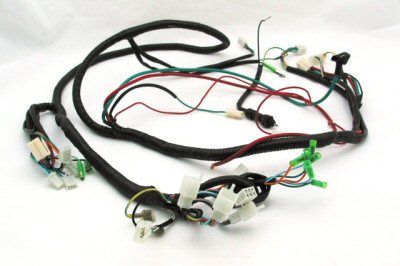 panterra-freedom-electric-wire-harness-171-52-29.png