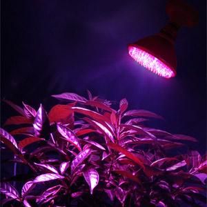 par38-high-power-hydroponic-168-led-grow-light-bulbs-lamps-69.png