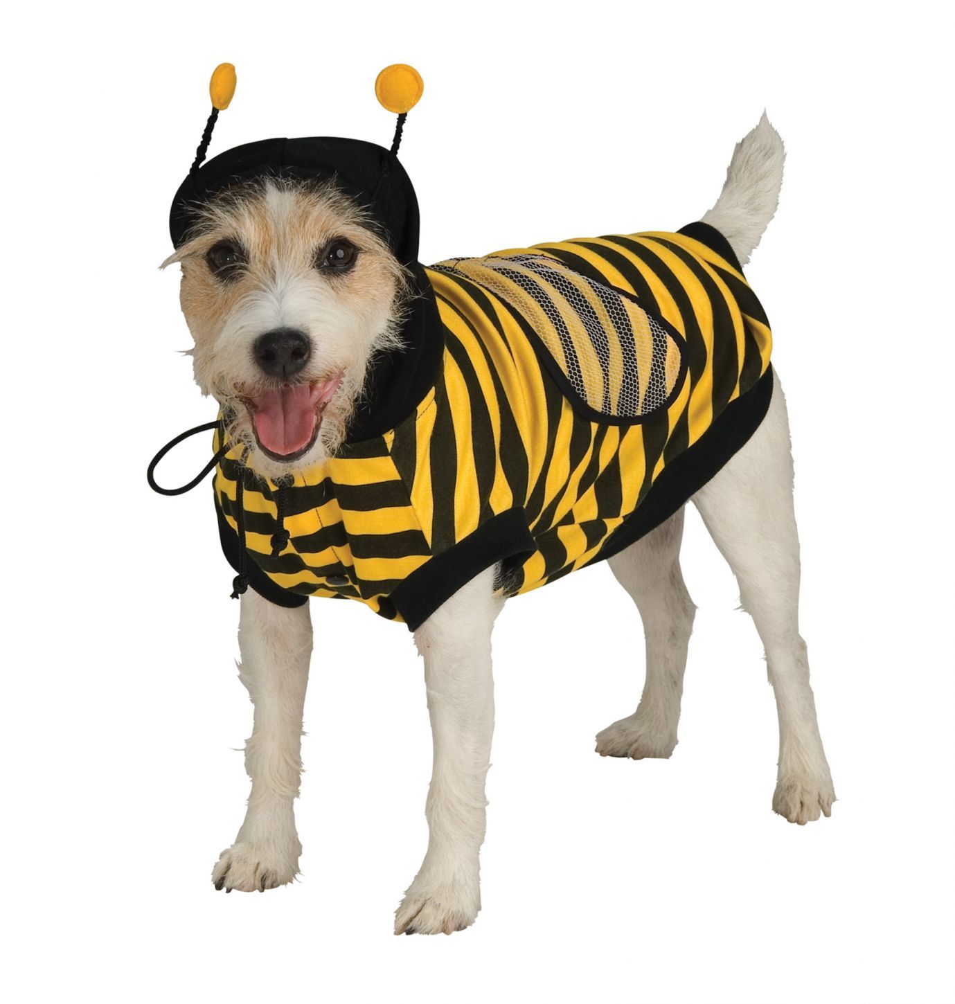 pet-bumblebee-small-52.png