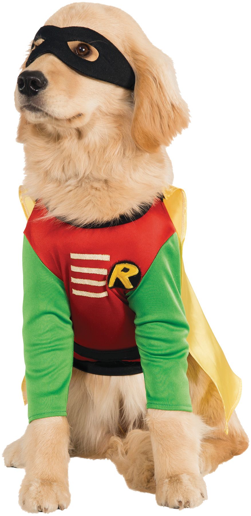 pet-costume-robin-large-costume-20.png