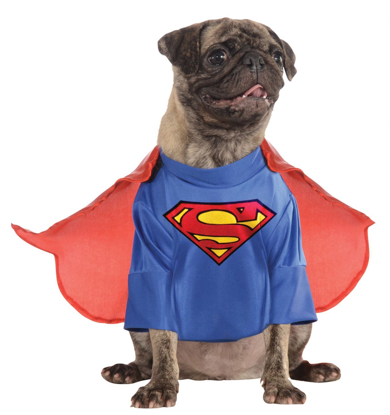 pet-costume-superman-medium-costume-57.png