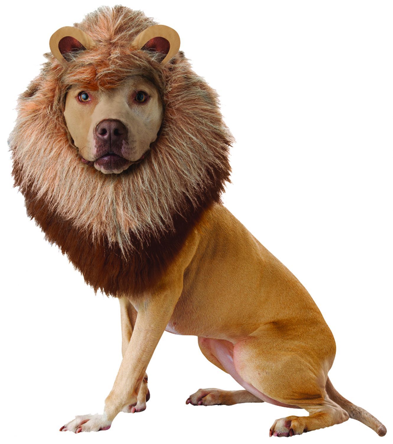 pet-lion-large-costume-28.png