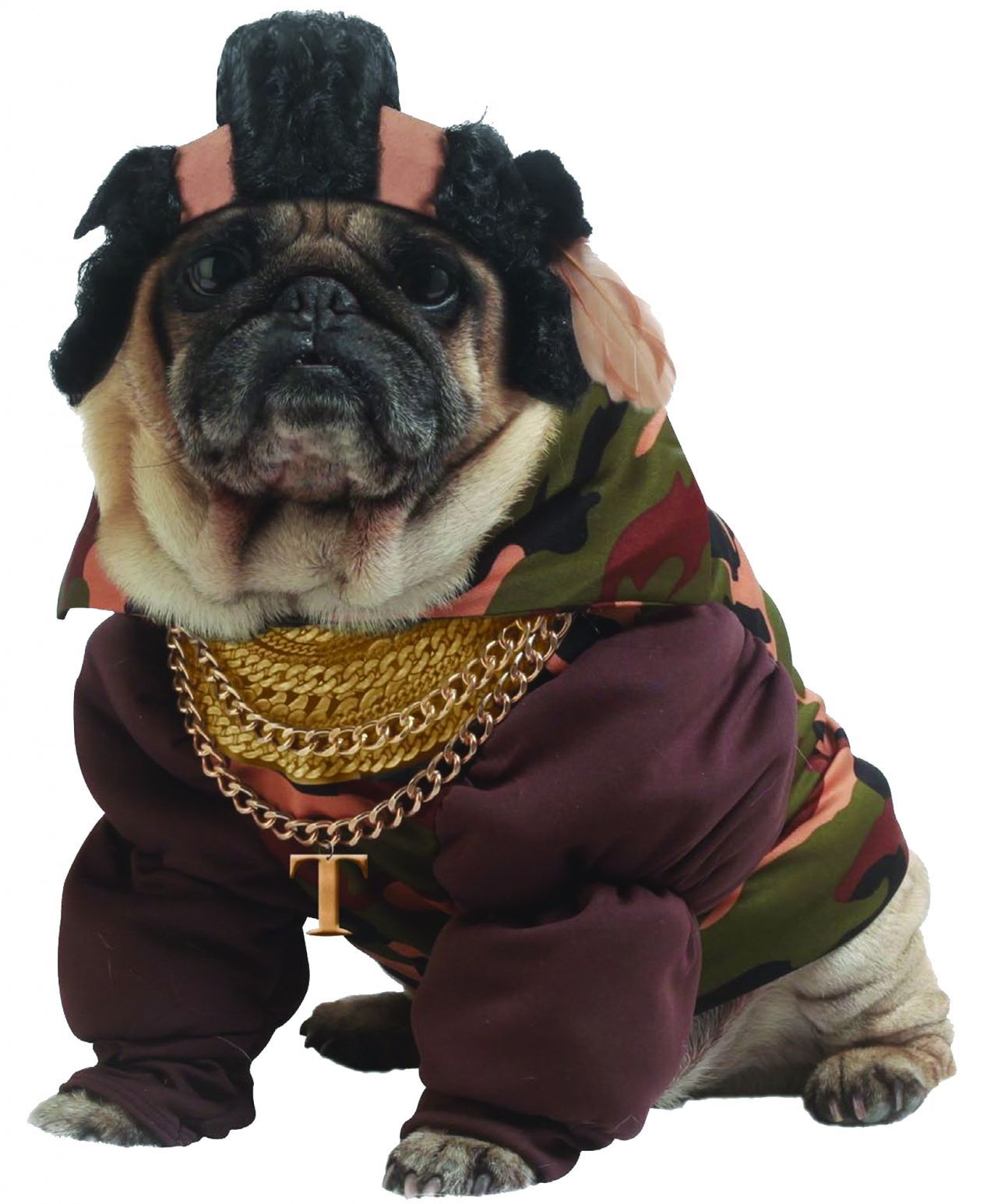 pet-pity-the-bull-lg-costume-28.png