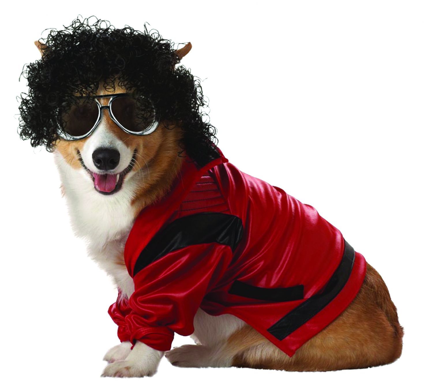 pet-pop-king-lg-costume-28.png