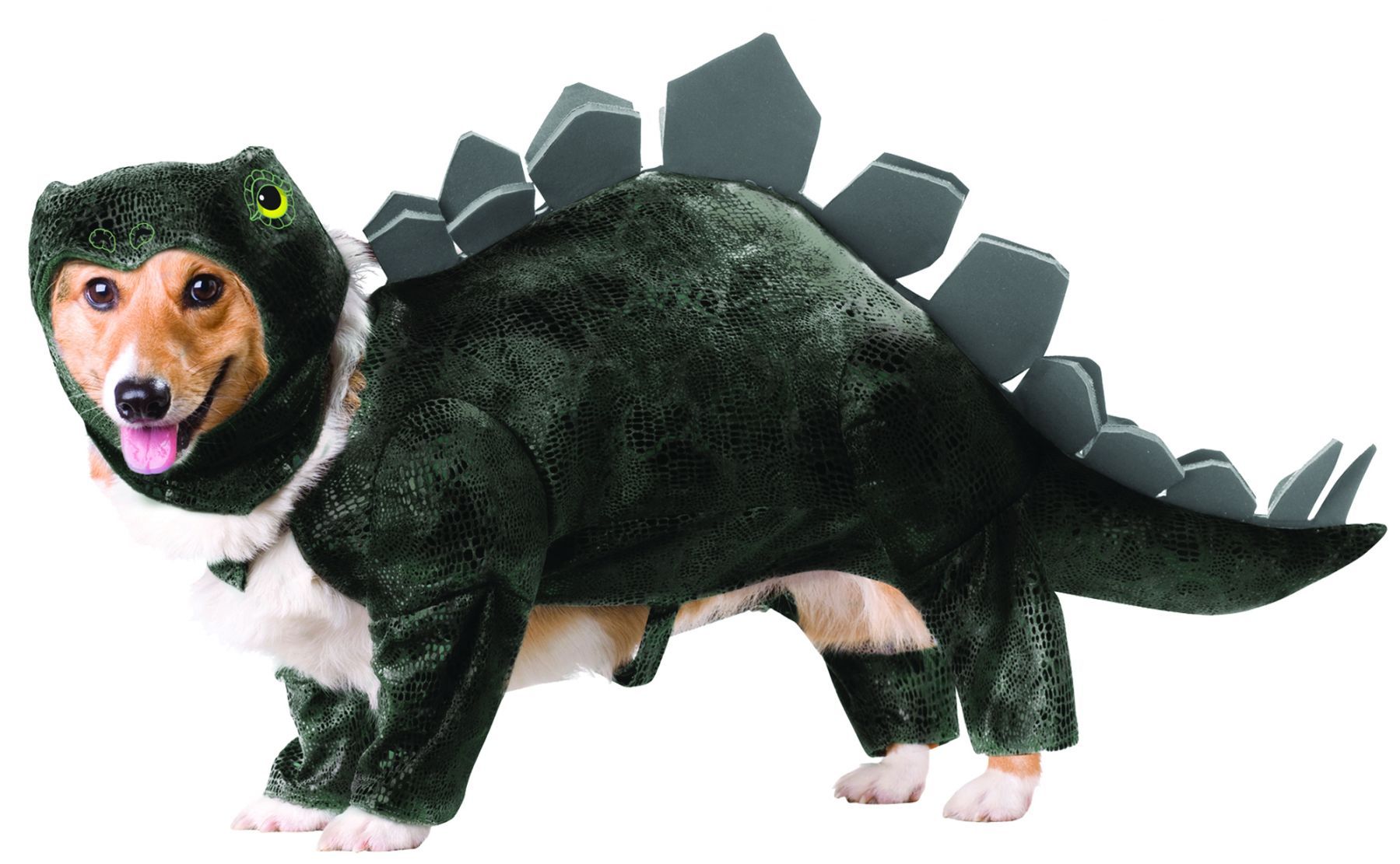 pet-stegosaurus-animal-planet-costume-59.png