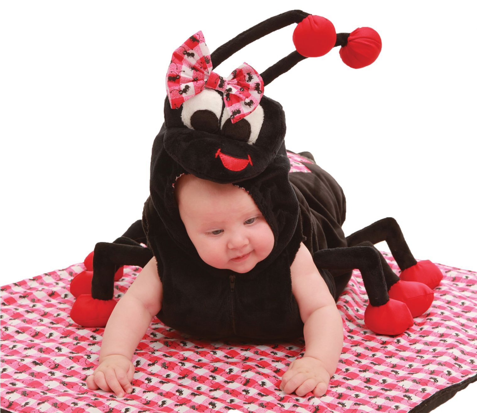 picnic-ant-tod-6-12m-costume-30.png