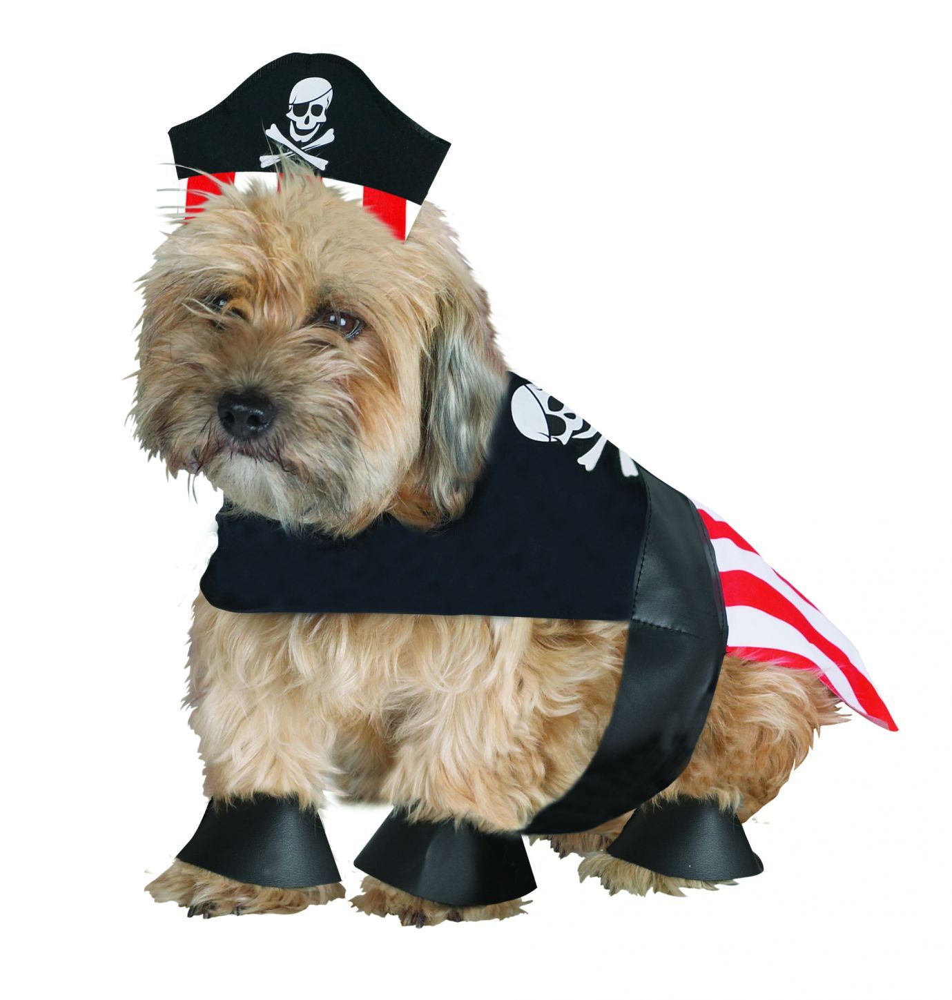 pirate-dog-medium-52.png