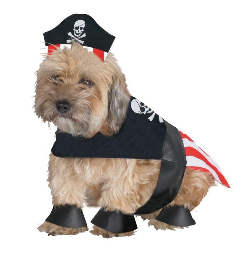 pirate-dog-small-33.png