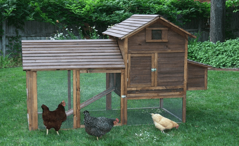 Huge 6 Chicken Poultry Coop Wooden Hen House & Backyard Run