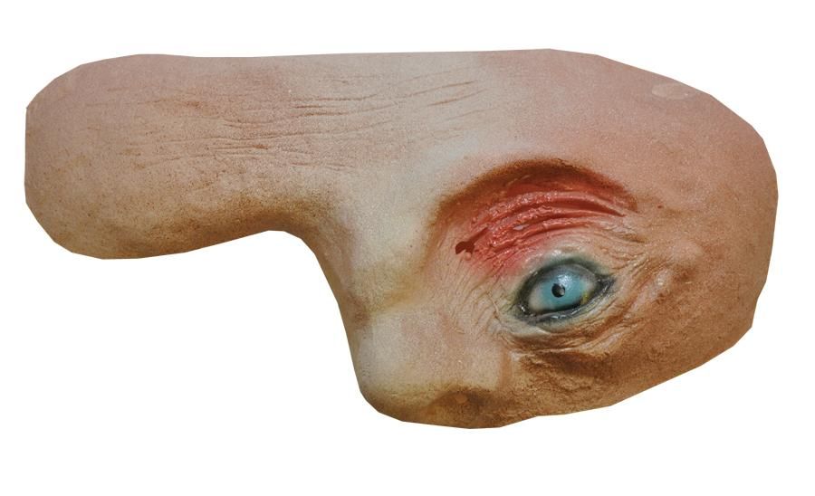 quasimodo-prosthetic-35.png