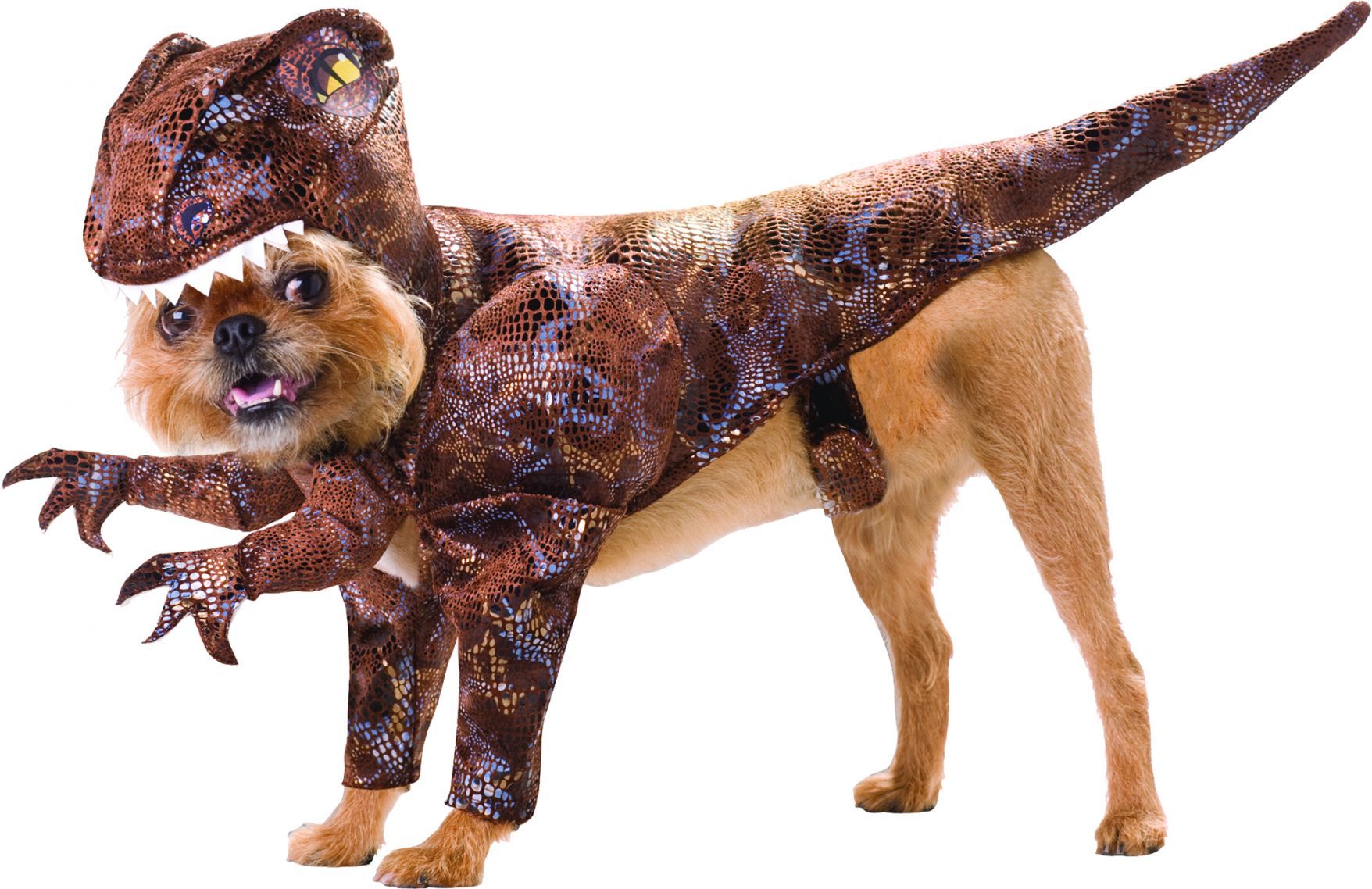 raptor-pet-animal-planet-med-27.png