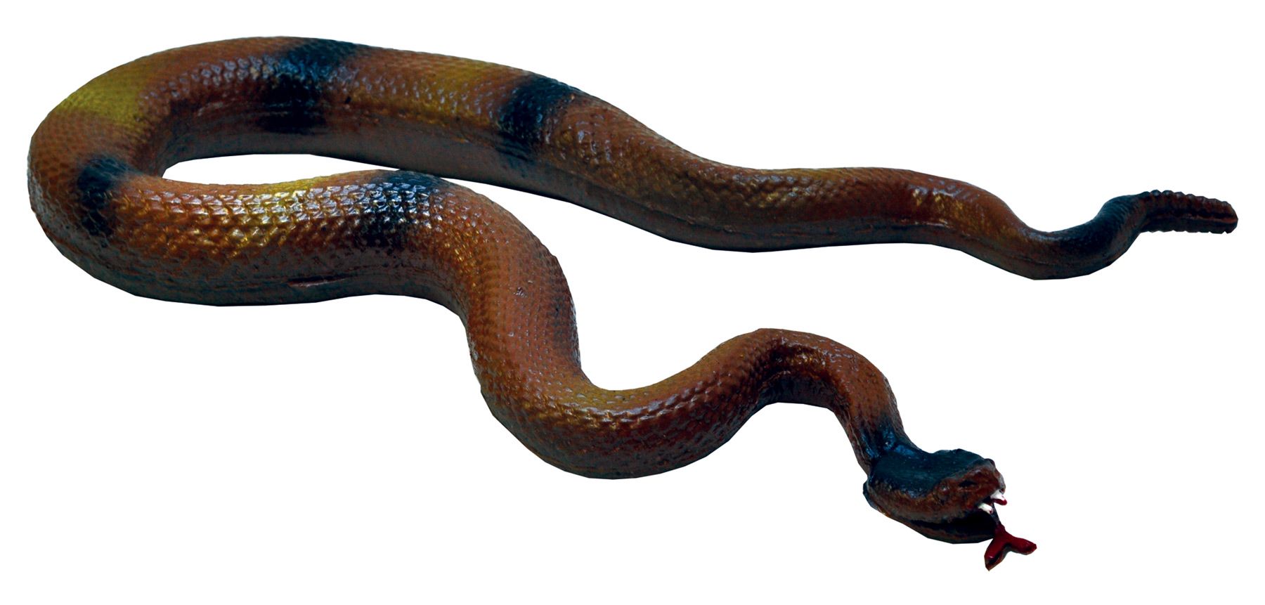 rattler-37-inch-42.png