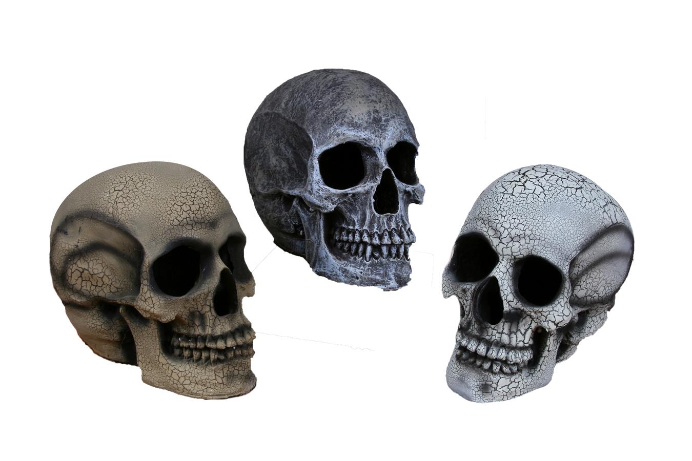 realistic-skull-large-yellow-32.png