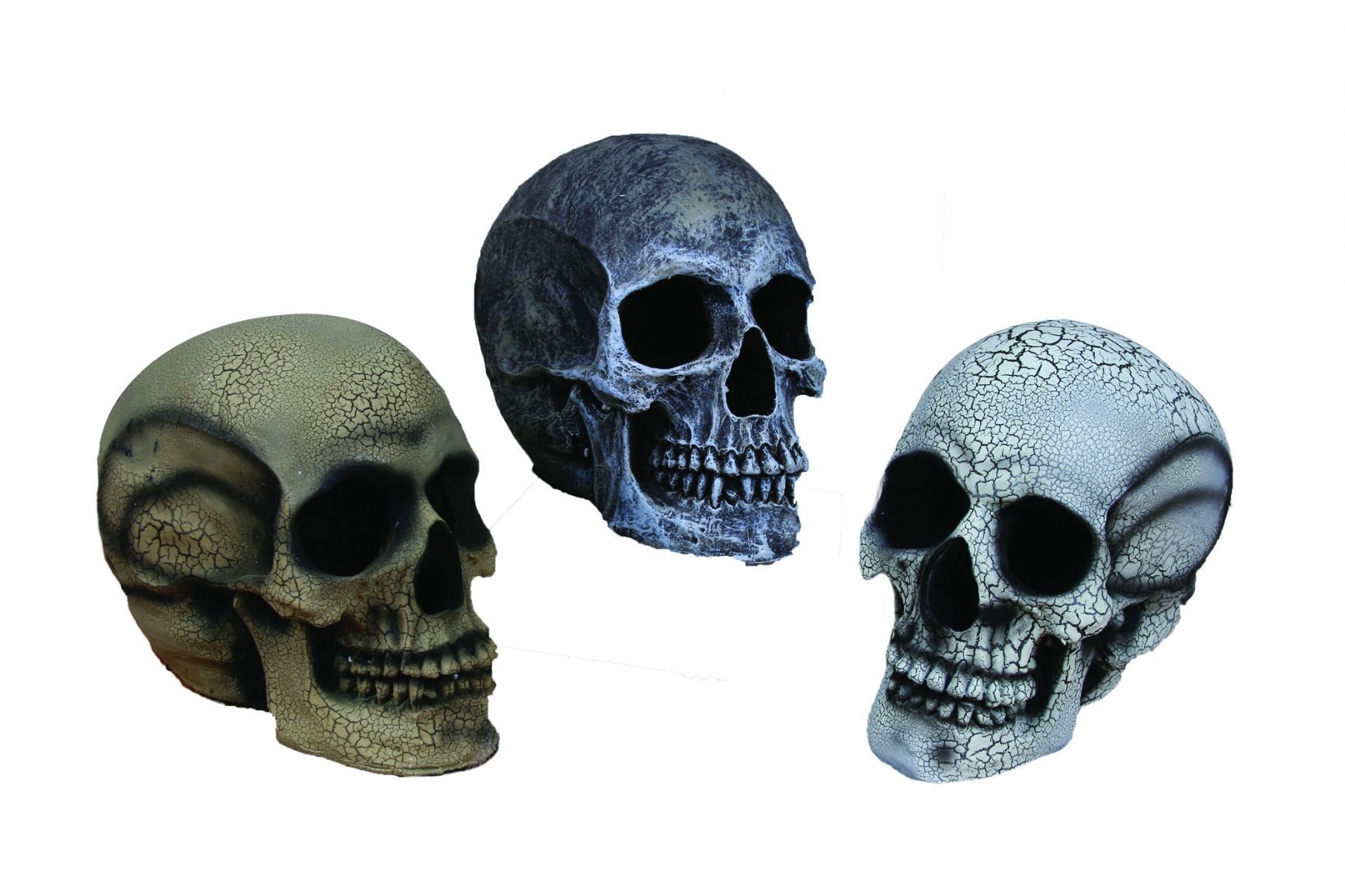 realistic-skull-small-white-52.png