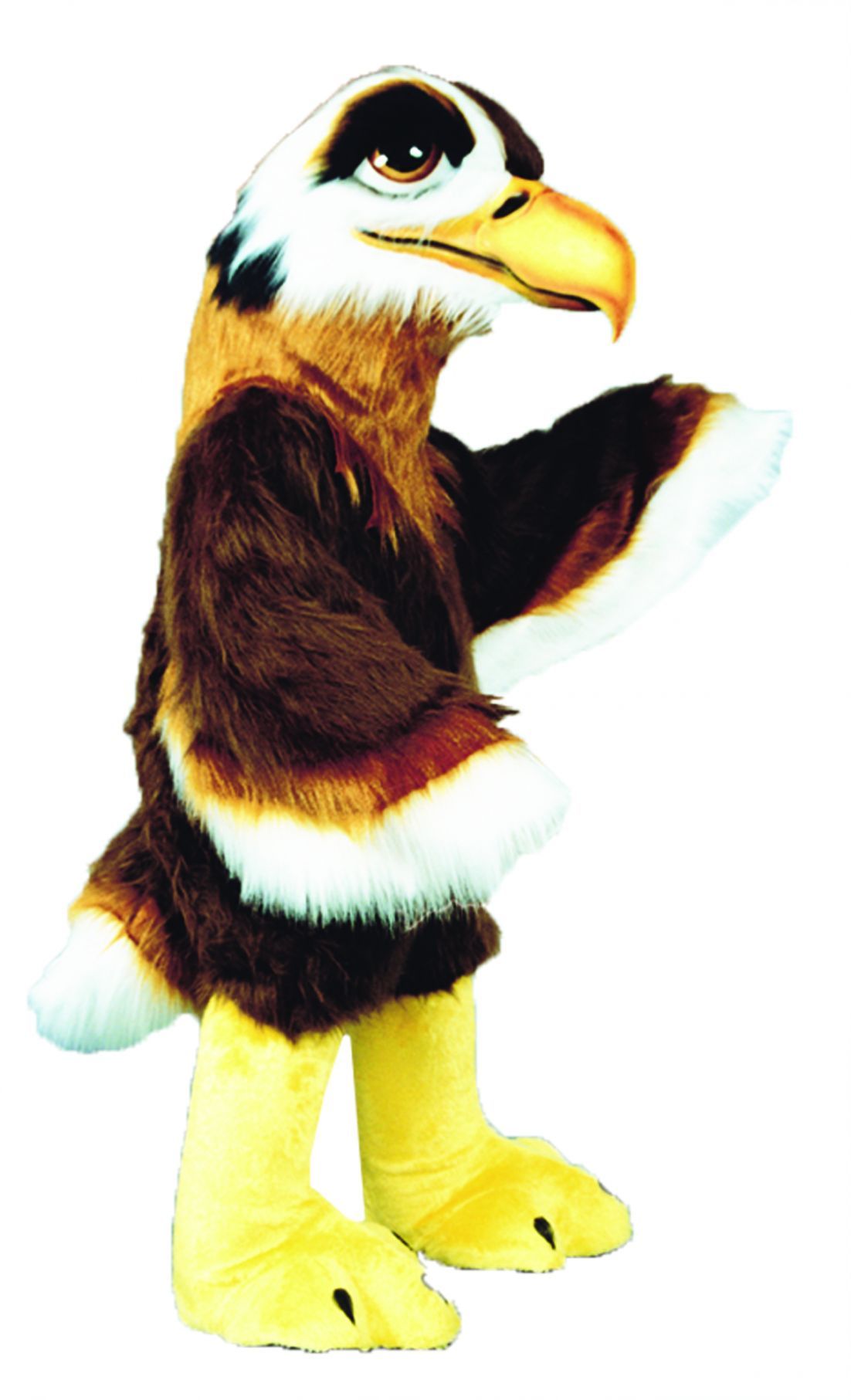 regal-hawk-as-pictured-50.png