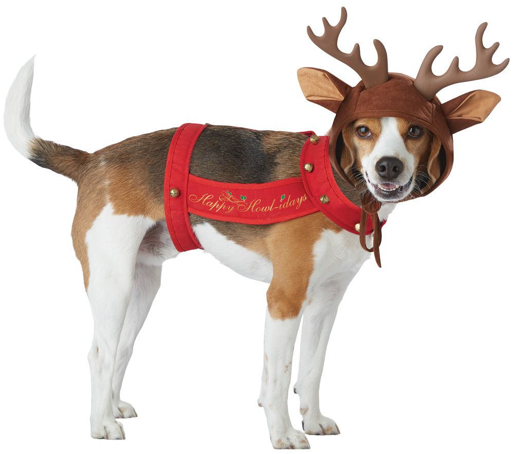 reindeer-dog-lg-costume-20.png