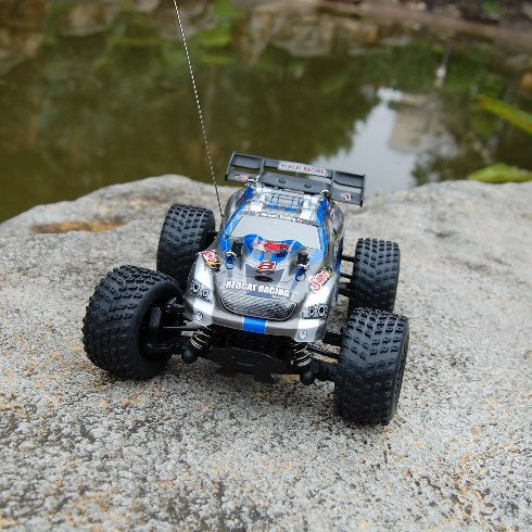 remote-control-rc-4wd-hobby-grade-1-24th-scale-sumo-racing-truggy-98.png