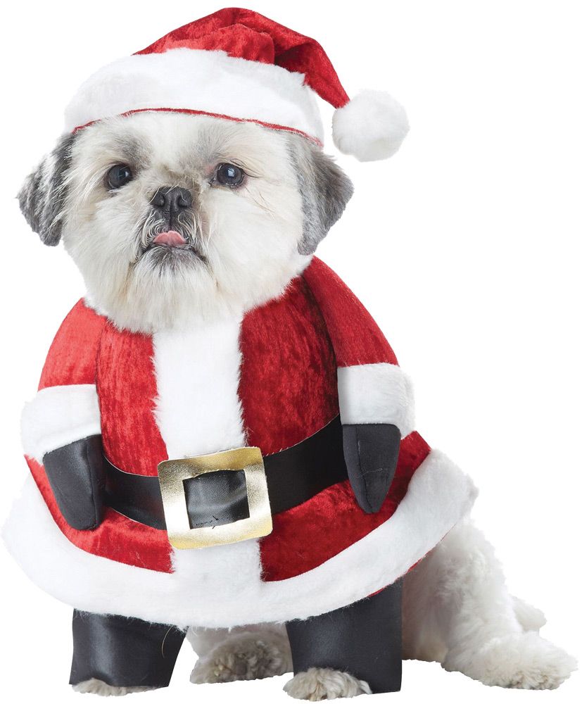 santa-paws-dog-lg-costume-20.png