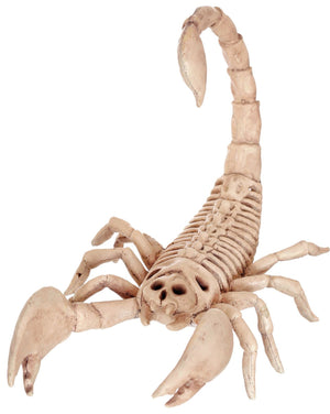 scorpion-skeleton-costume-30.png