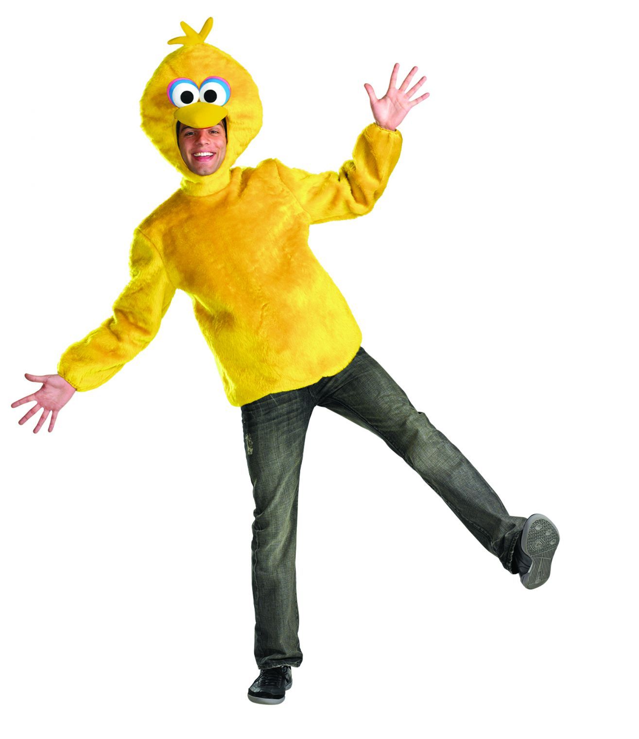 sesame-st-big-bird-adult-42-46-50.png