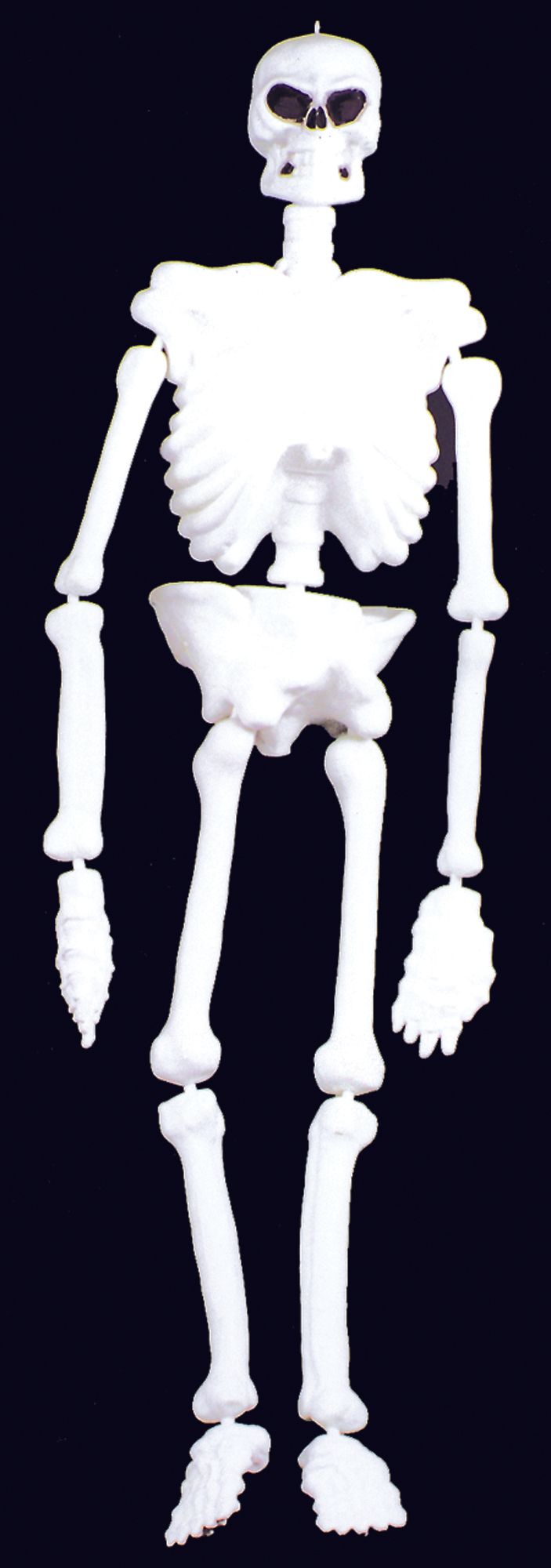 skeleton-5-foot-glow-plastic-44.png