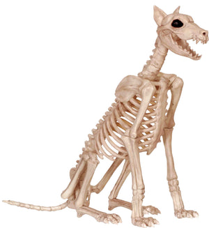 skeleton-doberman-costume-27.png