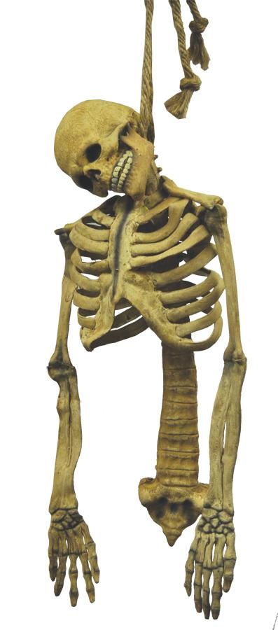 skeleton-torso-33.png