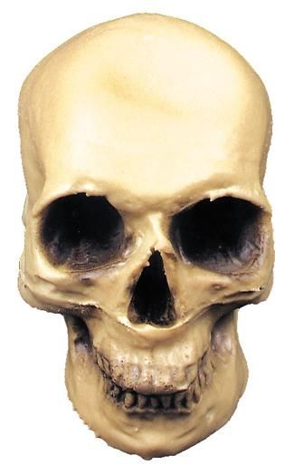 skull-deluxe-rubber-35.png