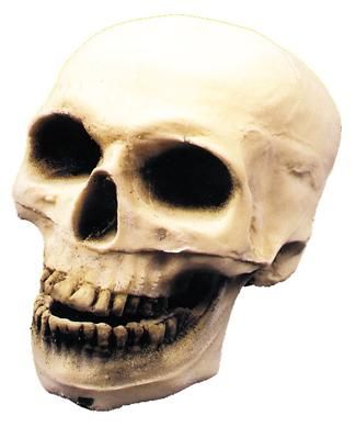 skull-econo-glo-in-dark-35.png