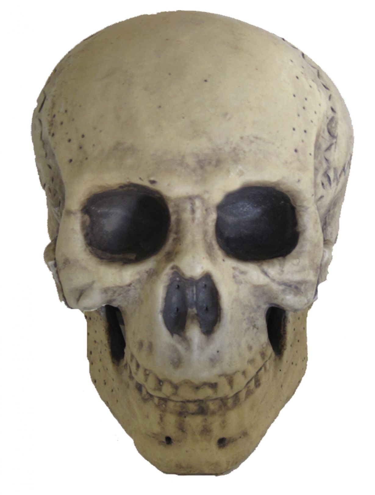 skull-foam-9-5in-50.png