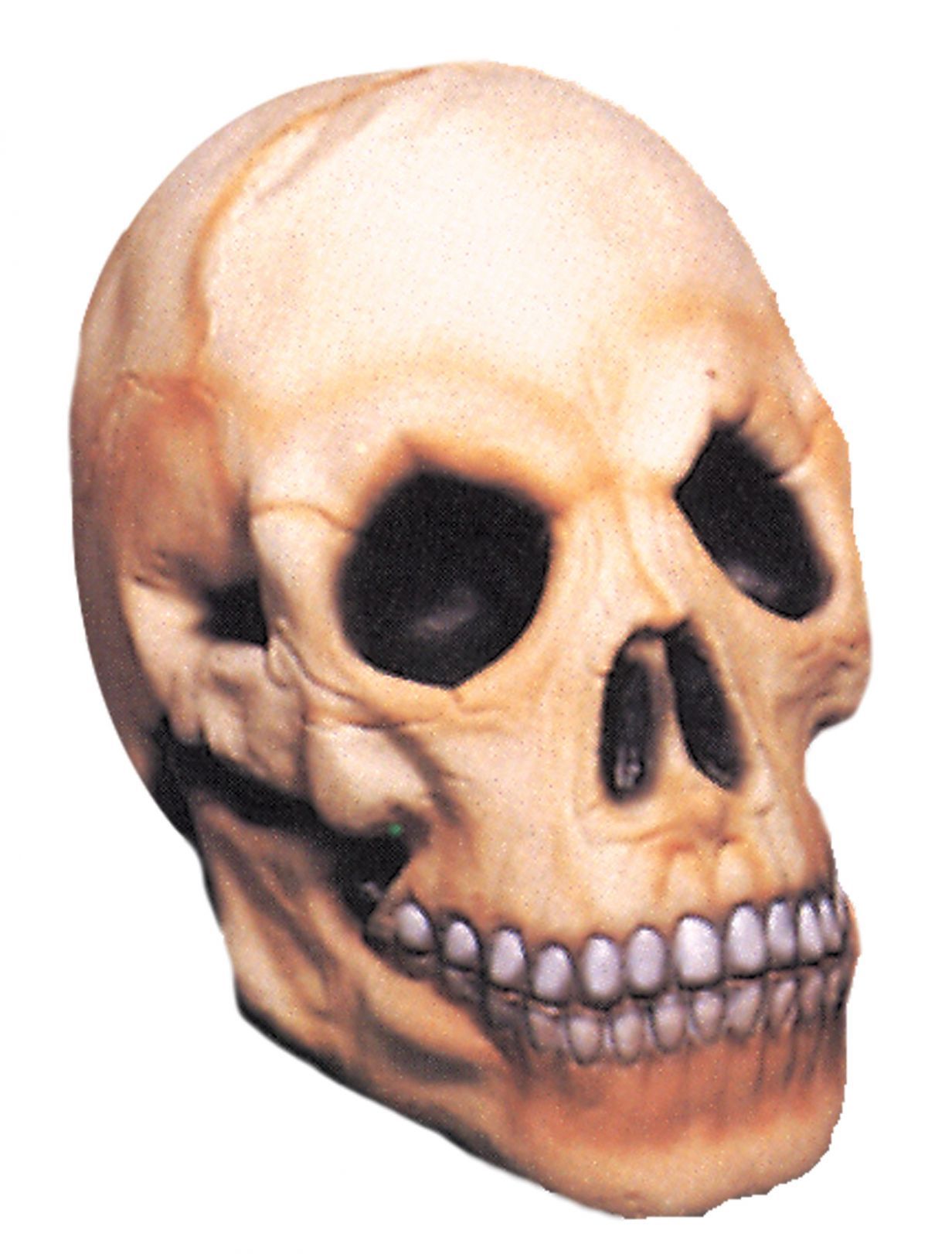 skull-prop-52.png