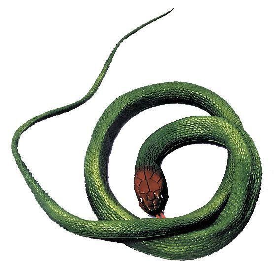 snake-72-inch-35.png