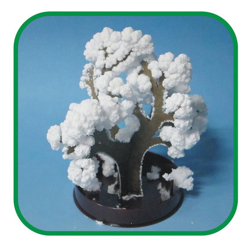 snow-bonsai-the-imagination-tree-37.png