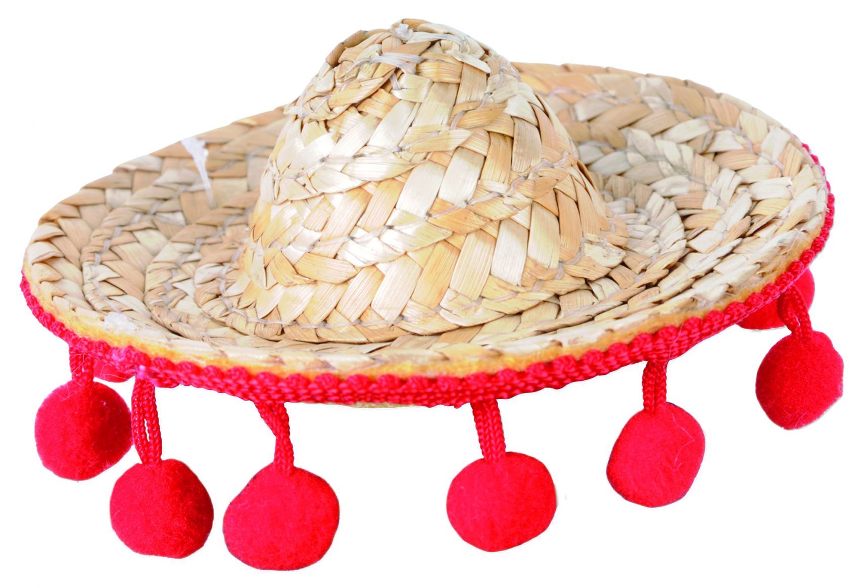 sombrero-hair-clip-costume-28.png