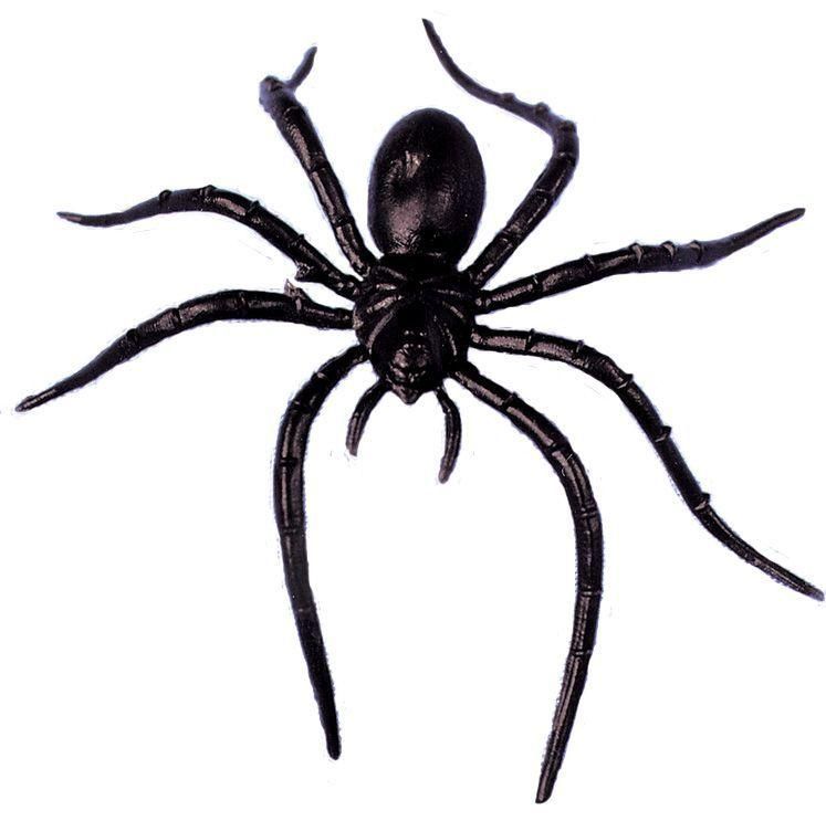 spider-plastic-2-inch-35.png